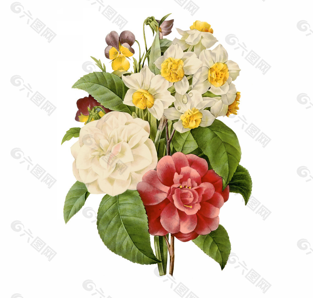 位圖 植物圖案 寫(xiě)意花卉 花朵 免費(fèi)素材產(chǎn)品工業(yè)素材免費(fèi).