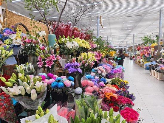 高質(zhì)量發(fā)展調(diào)研行丨北京首個花卉拍賣中心 與昆明同價 搶 鮮花